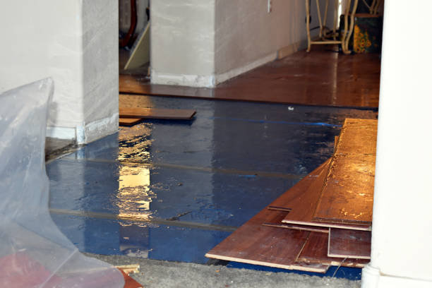 Professional Basement Flood Cleanup technician working in Greenville, MI