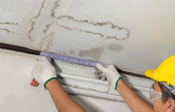 Reliable Basement Flood Cleanup contractor in Greenville, MI by Aqua Guard Water Damage